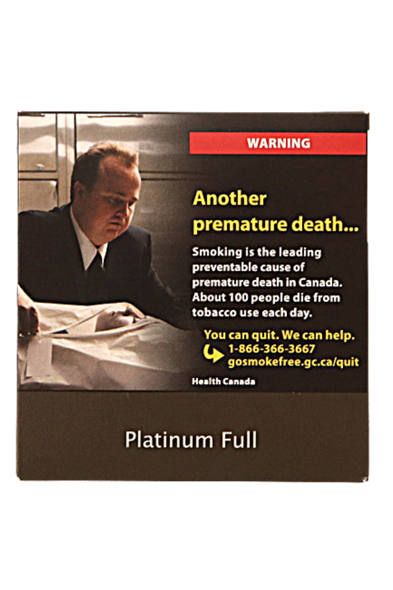 Platinum Cigarette KS (10X20)